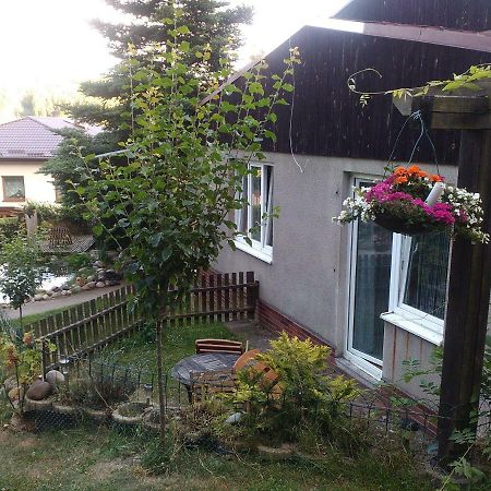Na Polesi Apartment Zlutice Exterior photo