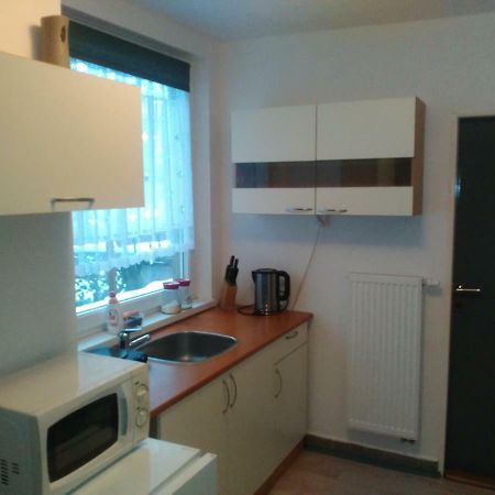 Na Polesi Apartment Zlutice Exterior photo