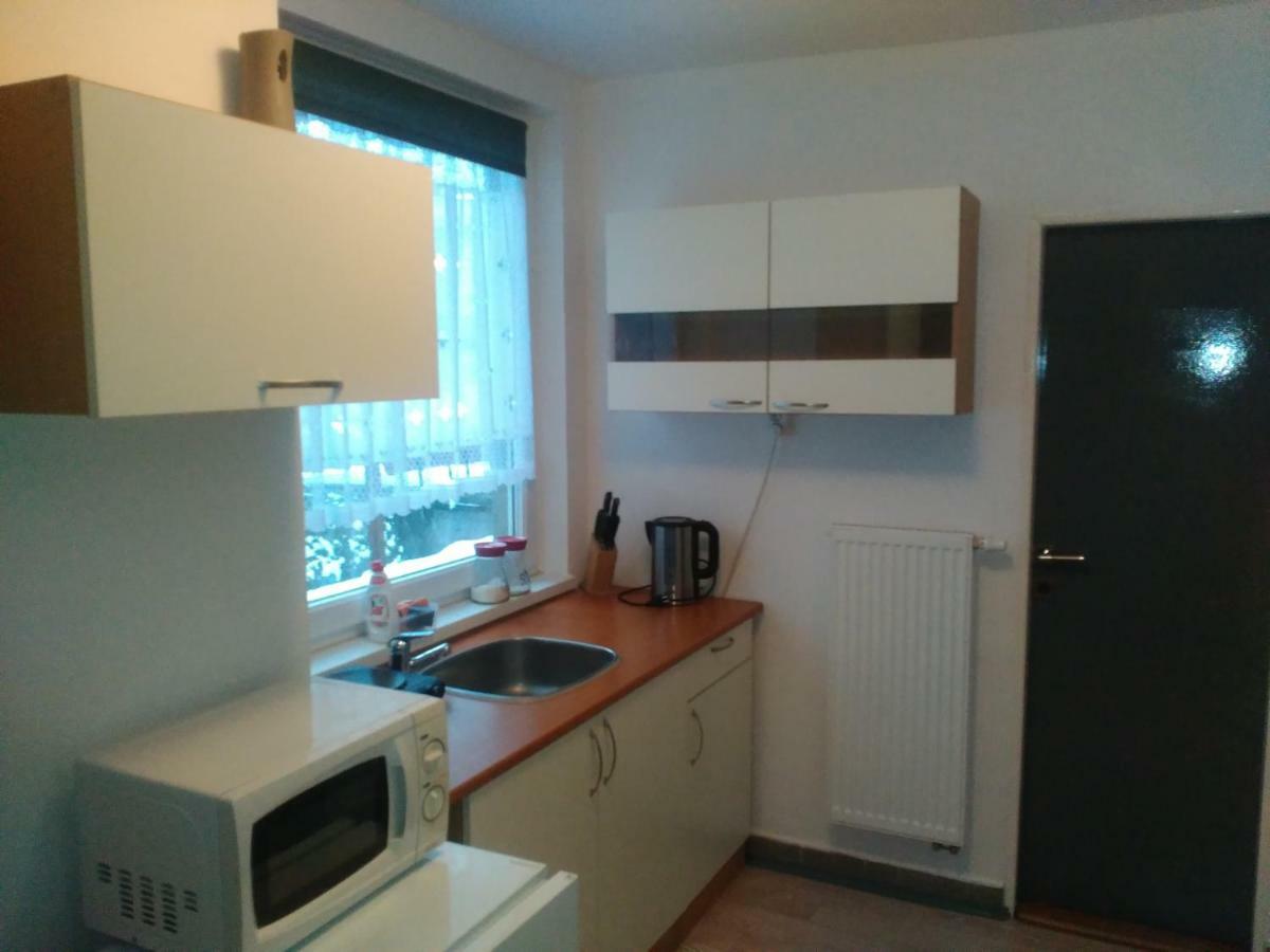 Na Polesi Apartment Zlutice Exterior photo